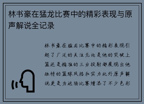 林书豪在猛龙比赛中的精彩表现与原声解说全记录