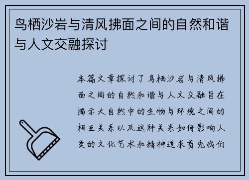 鸟栖沙岩与清风拂面之间的自然和谐与人文交融探讨