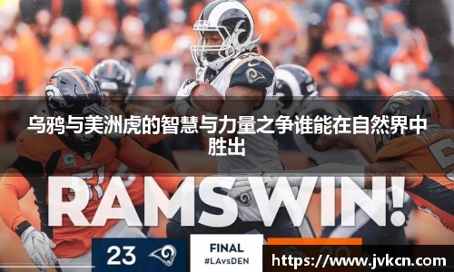 乌鸦与美洲虎的智慧与力量之争谁能在自然界中胜出
